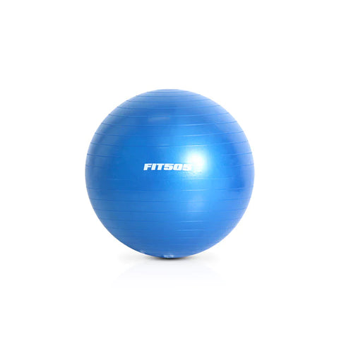 FIT505 Ballon de stabilité 55-75cm